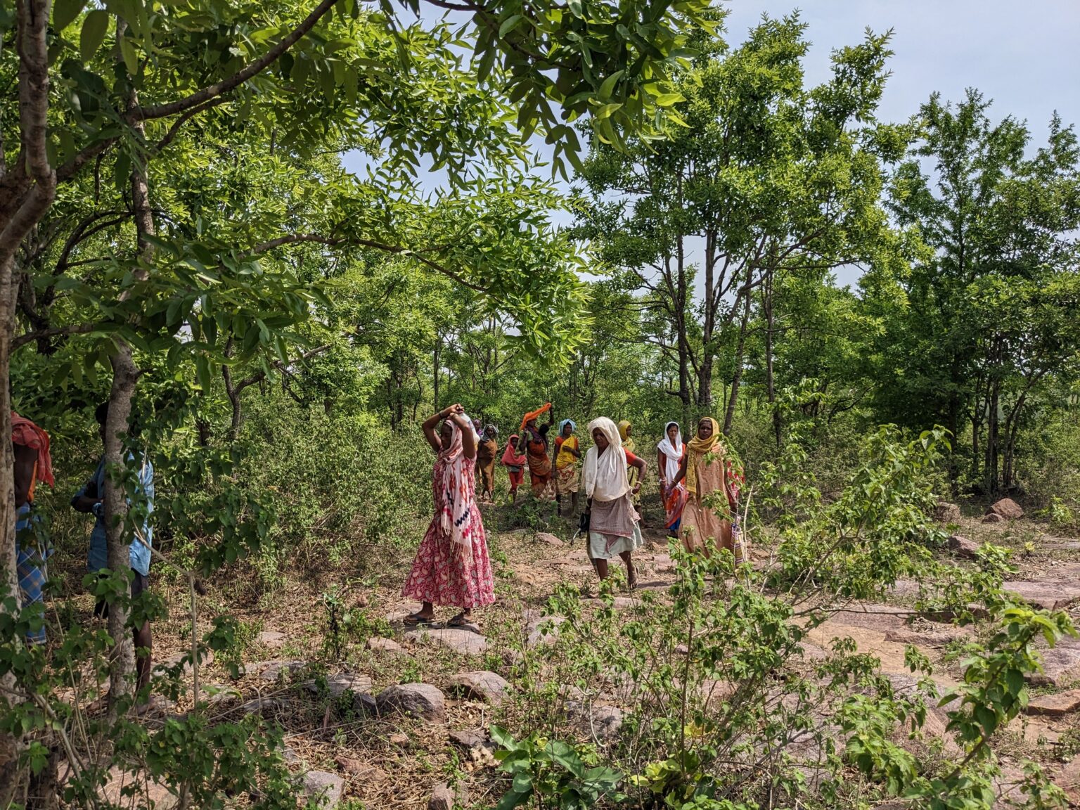 Our Mission – CFR ATREE