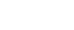 A1