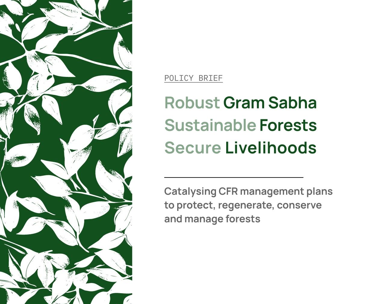 CFR Management Policy Brief_June 2026_FINAL (1)_pages-to-jpg-0001