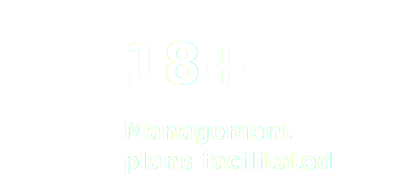 icon2_management_plans